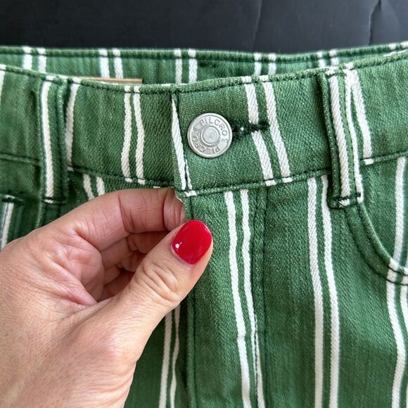 NWT Anthropologie Pilcro Green Striped High Rise Denim Raw Hem Short Women Sz 25 - Picture 5 of 16